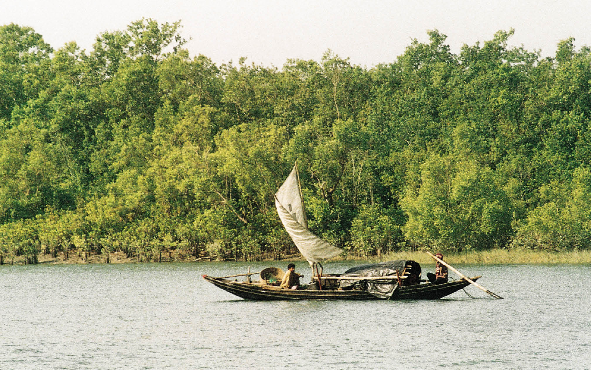 Rising Sea Sagar Island, West Bengal